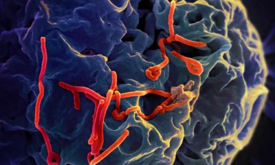 Ebola Outbreak