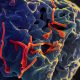 Ebola Outbreak
