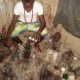 Student dies in Ekiti ‘juju’ superiority contest