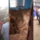 Homicide Squad Exhume Body Murdered Woman Buried In Boyfriend's Room..