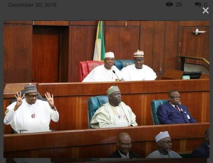 Photo of the Year: Buhari’s 4+4