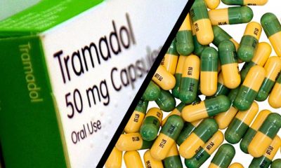 Seized 40-Container Loads Of Tramadol: USD$280, 000 Bribe Exposed