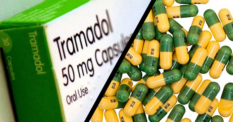 Seized 40-Container Loads Of Tramadol: USD$280, 000 Bribe Exposed