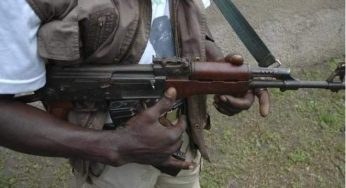 Unknown Gunmen Kill Two, injure Two Other Women In Ogoni Community in Rivers
