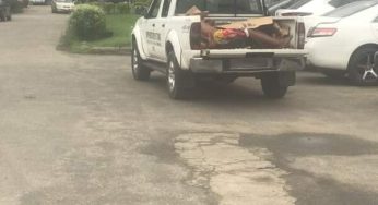 Aggrieved Rukpokwu youths Protest Police killing of a Tricycle Operator Driver