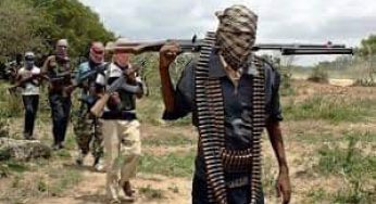 Ipob Militants Slaughter 19 Fulani Herders in Anambra